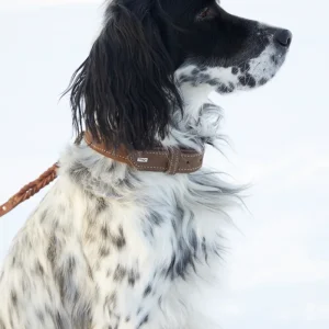 Hunter, halsbånd "Hunting"