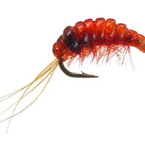 Gammarus Marflo