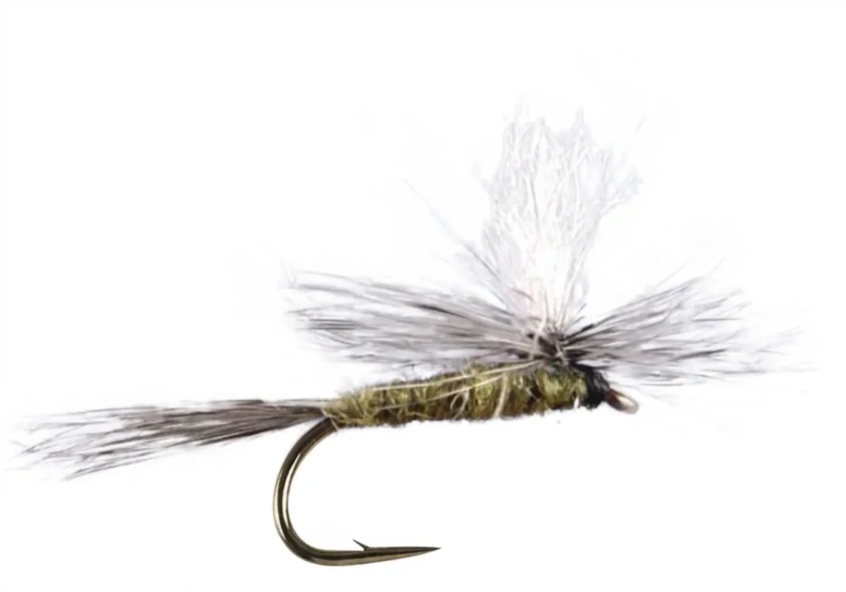 Parachute Baetis Dun